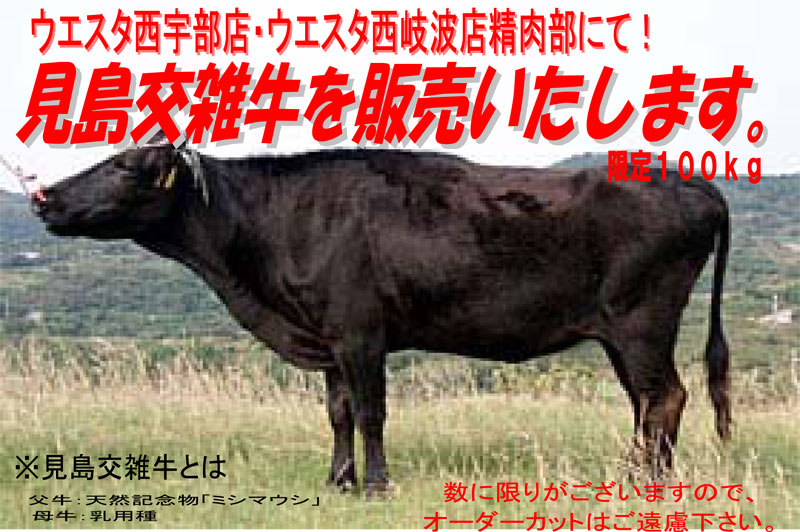 ４月２日 見島交雑牛限定販売 美味しいもの教えちゃいます